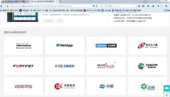 国产操在线时间软件,解锁高效时间管理新体验